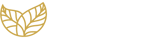 Adara-Logo-Blanco