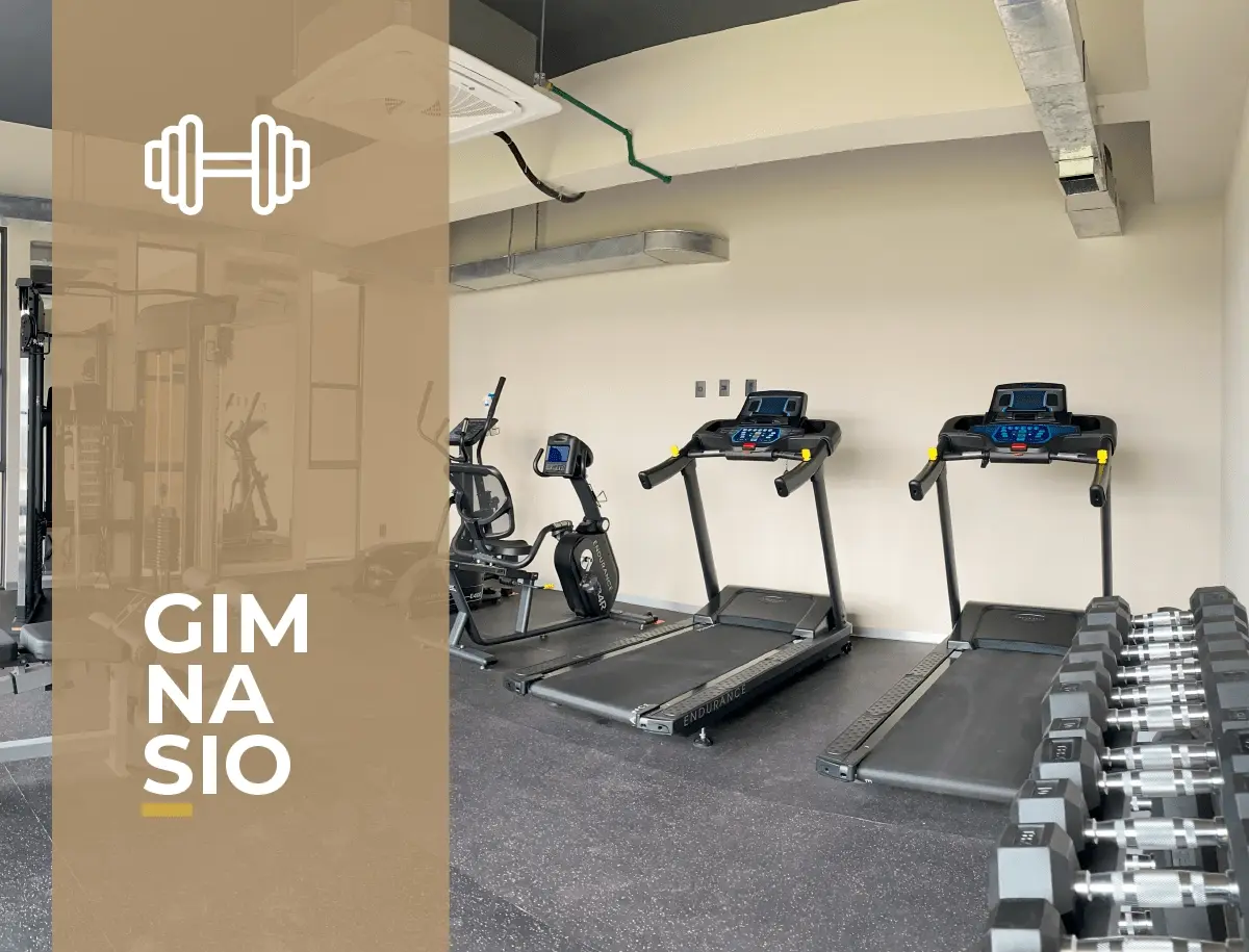 Gimnasio-1